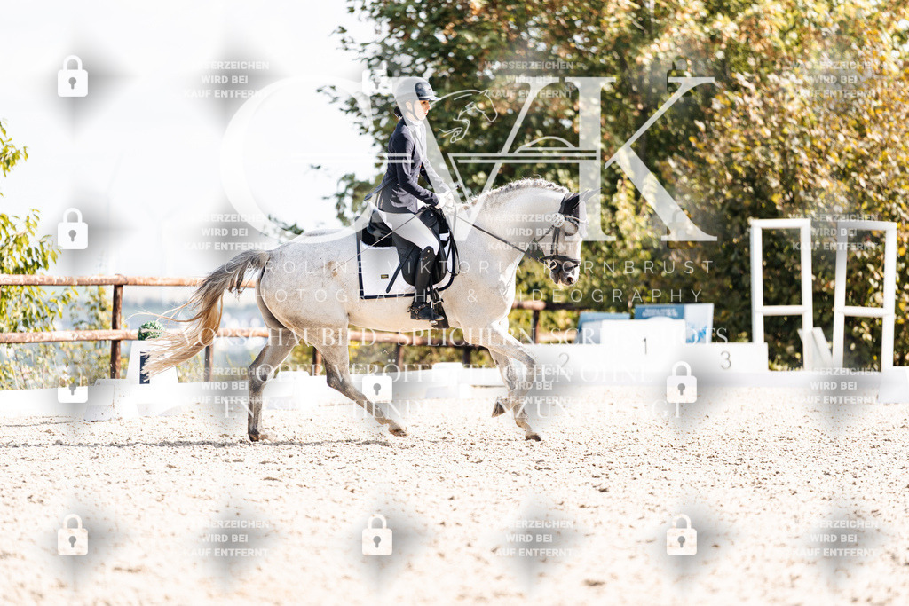 CK902049 | Turnierfotografie Pferdefotografie Trier Rheinland-Pfalz Pferdesport Reitsport Tierfotografie Sportfotografie Pferdevideo Pferdevideografie Equestrianvideography equestrianphotography  - Realisiert mit Pictrs.com