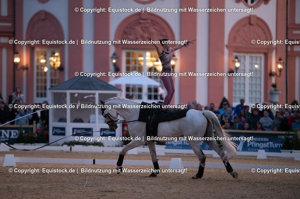 20230527_Voltigieren_NASPA_Flutlicht_0364 | equistock