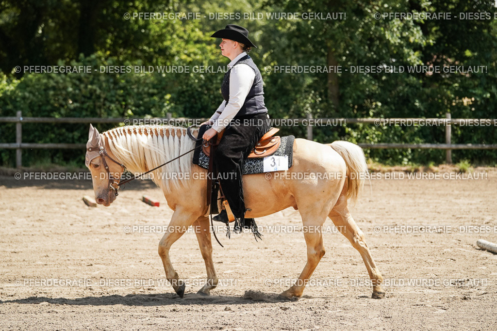 DSC06878 | Pferdegrafie