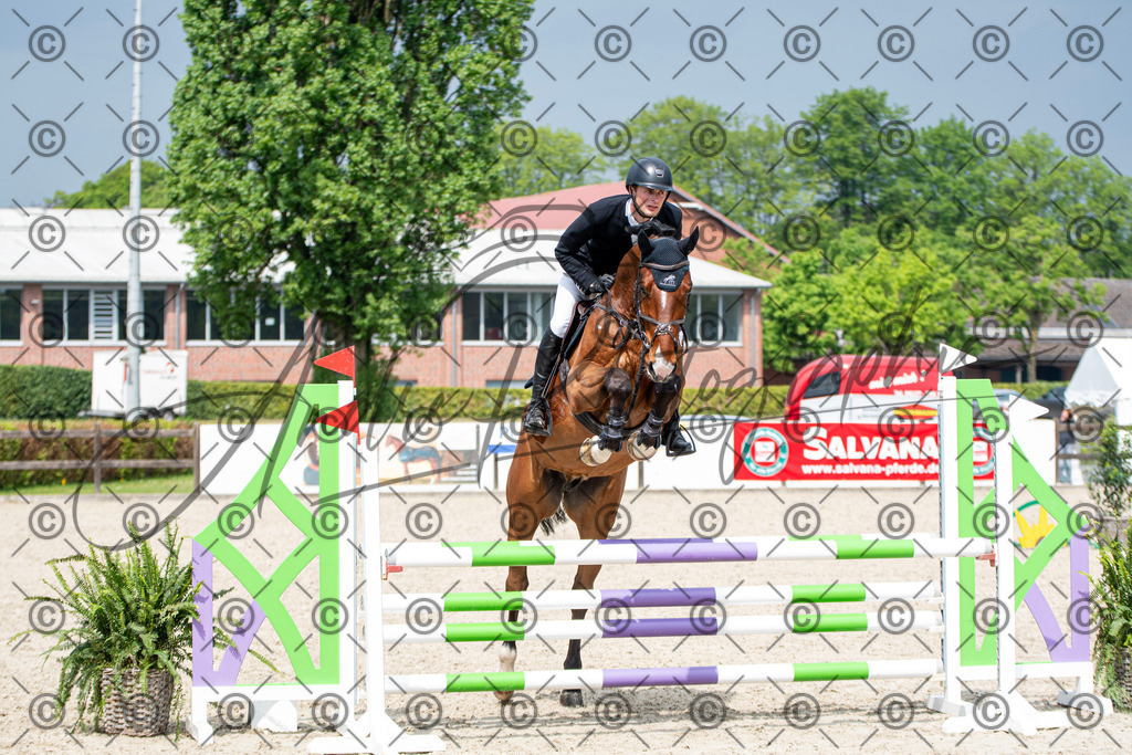 KPT_2934 | andre_photographic