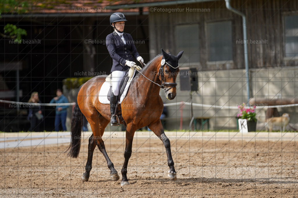 20240519-FAH04820 | Turnierbilder Niederseeon 2024, Vielseitigkeitsdressur, Reitsportbilder aus dem Landkreit Ebersberg, Gut Steinsee, RC Steinsee, Fotoagentur Herrmann