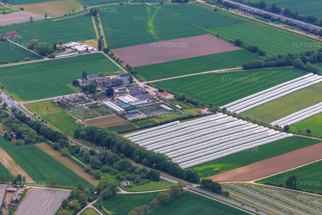 Luftbild: Lindenhof Blumen im Ortsteil Auerbach in Bensheim im Bundesland Hessen in Deutschland. Foto: IMG_088956.jpg vom 20.05.2016 durch Werner Riehm/FLY-FOTO.deWWW.LINDENHOFBLUMEN.DE