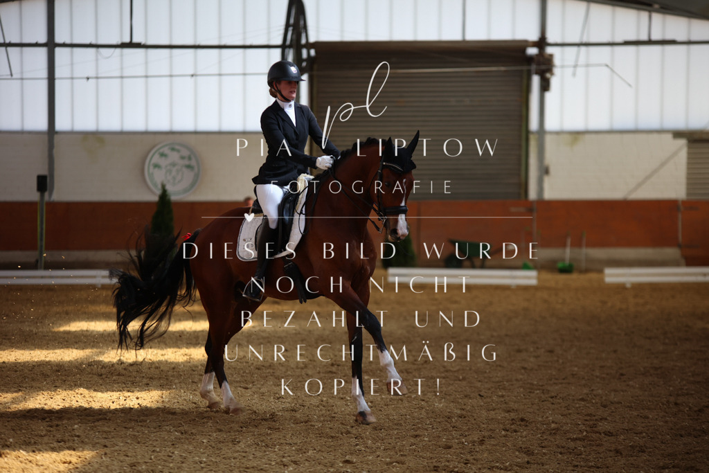 IMGT8578 | pl-fotografie