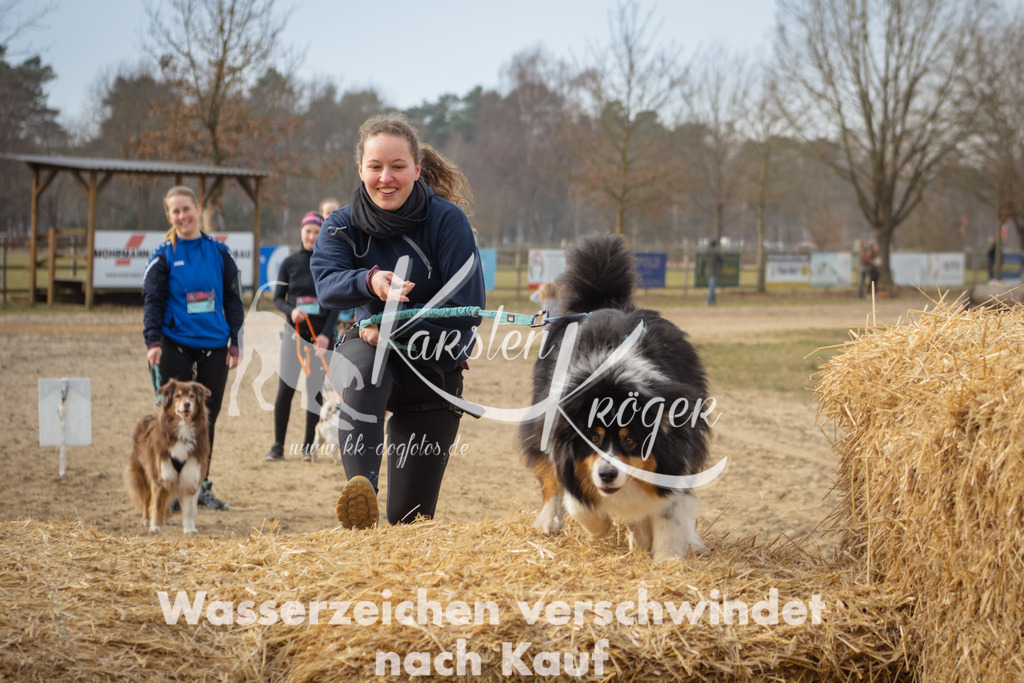 1042_ZZ98101 | kk-dogfotos