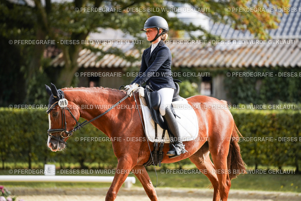 DSC05056 | Pferdegrafie