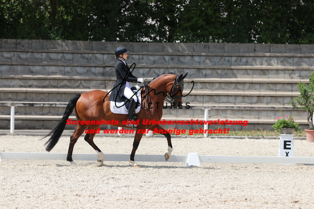 IMG_7522 | lmwpictures - Realisiert mit Pictrs.com