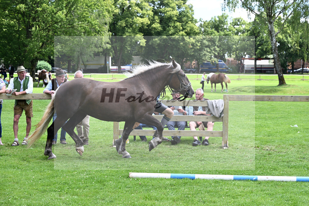 Kat-Nr. 60 Priska v. Schmauzenberg_Regauer_22241053 | hf-fotografie - Realizzato con Pictrs.com