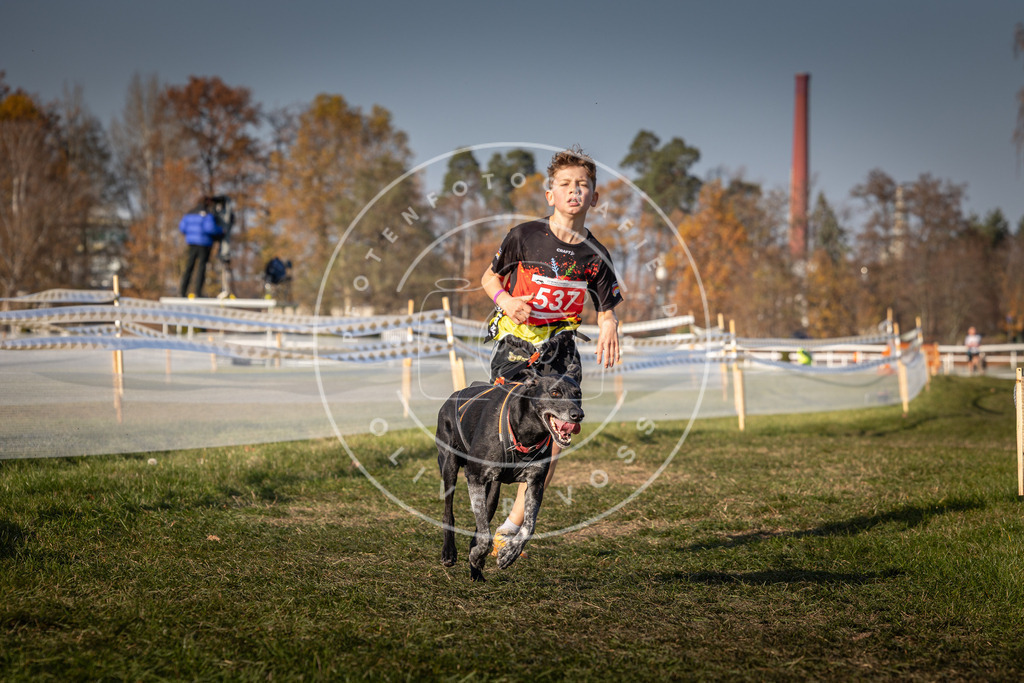 CaniXpix_0L8A8938 | Hundefotografie, Tierfotograf, Pfotenfotografie, Fotoshooting Hund, Hunde Portrait, Hundesport, Hundeportraits, Heideshooting, Hunde, Sportfotograf, Hundefotograf, Turnierhundsport, THS,  - Realisiert mit Pictrs.com