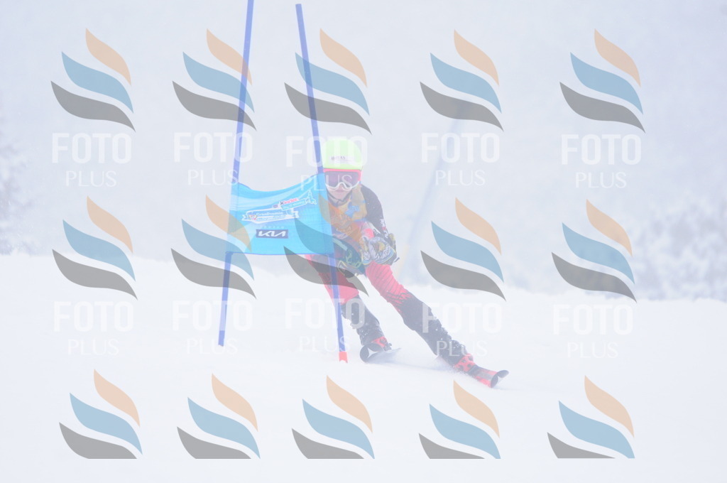 C3548 | holidayphoto