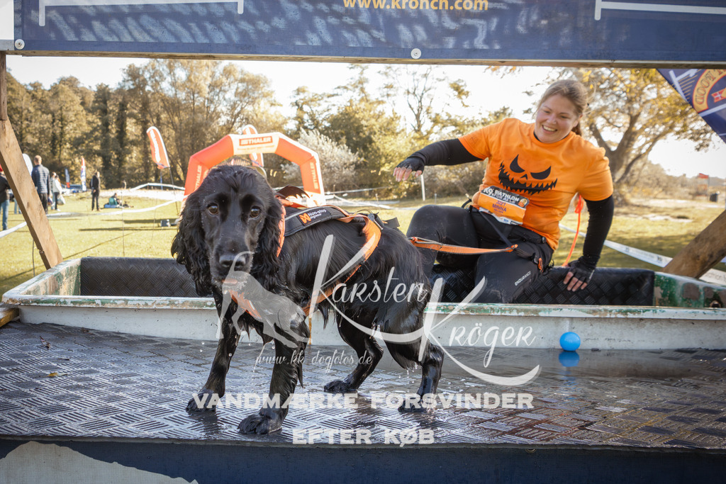 1229_ZZ96710-2 | kk-dogfotos