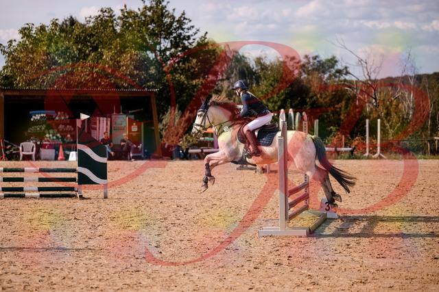 2026_10_03_Siefer-Hof_154508_Z81_63360402 | Professionelle Reitsport-, Turnier- und Eventfotografie von Robert Broda. Galerien mit ausgewählten und bearbeiteten Bildern direkt online ansehen und bestellen.