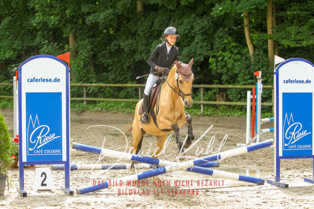 DKP44708 | Turniersportfotografie; Pferdefotografie; Dressurfotografie