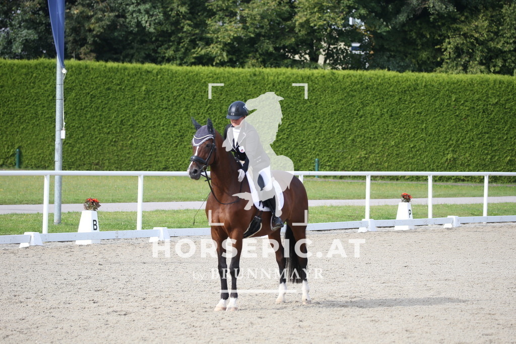 DL2Q2229 | Willkommen bei Brunnmayr - Design & Fotografie – Ihrem Spezialisten für Reitturniere und Pferdeveranstaltungen in Oberösterreich, Salzburg und Bayern! Seit über 17 Jahren sind wir leidenschaftlich dabei.