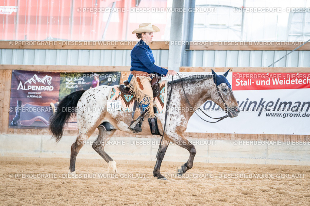 DSC03830 | Pferdegrafie