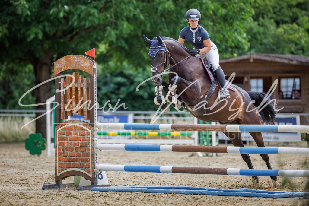 20260705-_3LI6066 | Tierfotografie Pferde, Hunde, Katzen, Haustiere.
Turnierfotografie Reitturniere, Reiten, Springreiten, Dressur in Hanau, dem Main-Kinzig-Kreis und dem Rhein-Main- Gebiet um Frankfurt