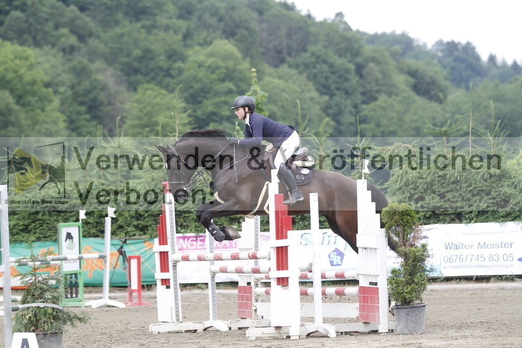 _MG_2979 | equestrian-live-com