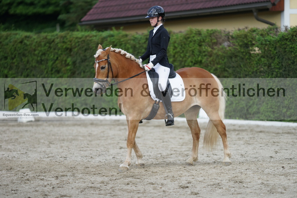 DSC05632 | equestrian-live-com