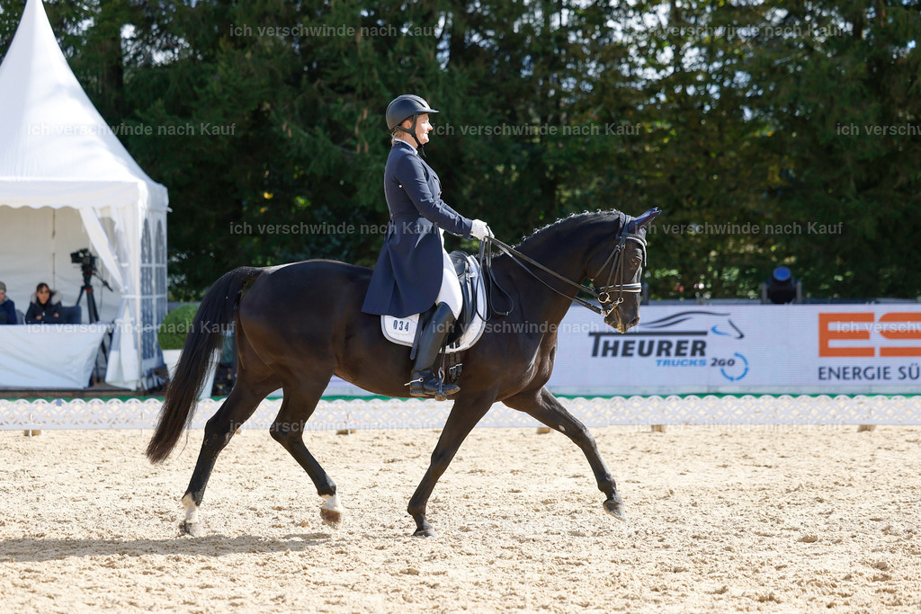 09_2-034-DRESSUR  S_  -StoibPH-5819 | working equitationturnier fotograf videograf stoibphotography marixx film working equitation deutschland reitsport turnierfotografie eventfotografie equestrian events