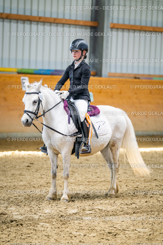 DSC02732 | Pferdegrafie