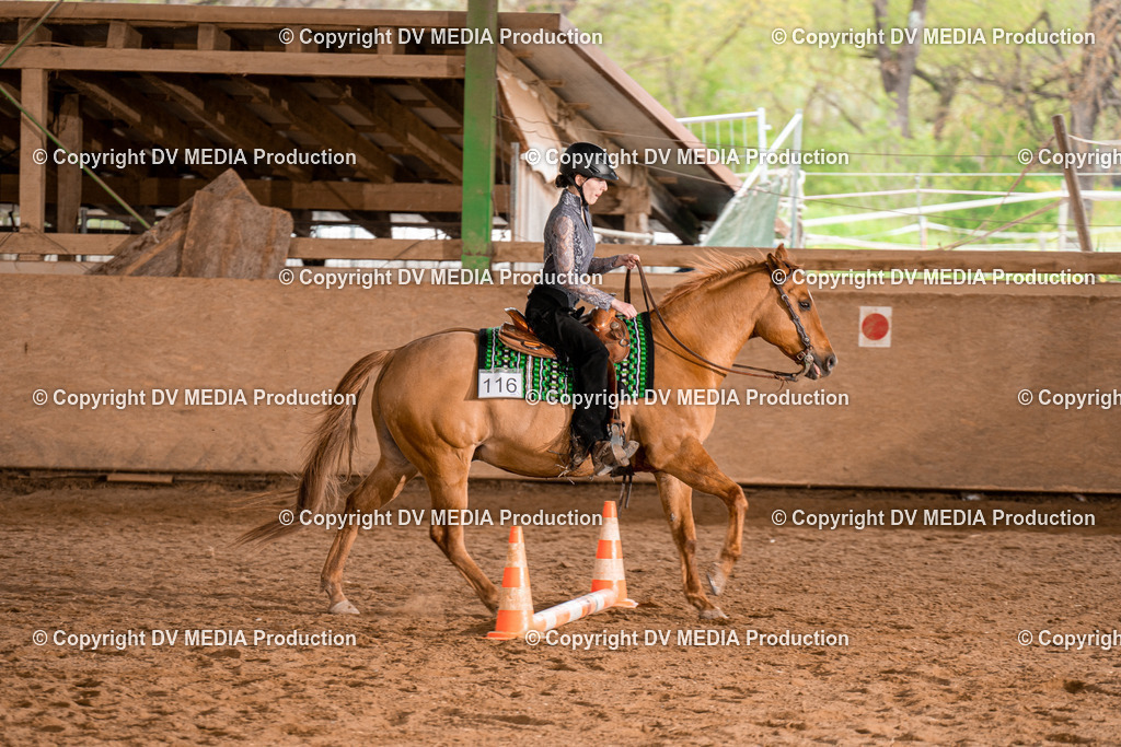 BA300847 | dv-media-shop - Realisiert mit Pictrs.com