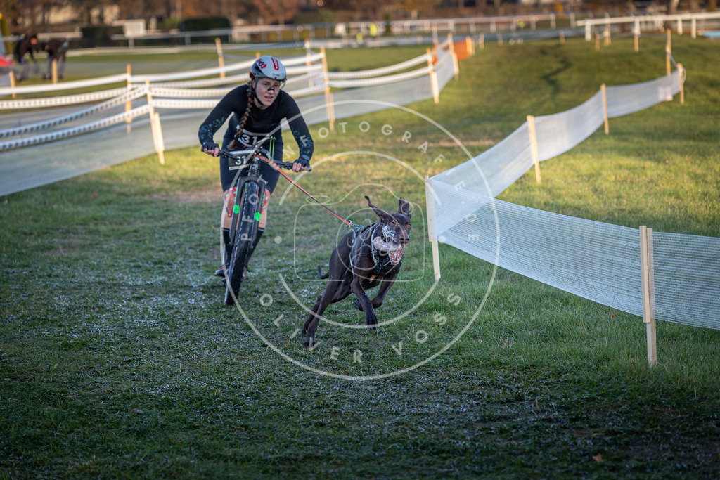 CaniXpix_0L8A2150 | Hundefotografie, Tierfotograf, Pfotenfotografie, Fotoshooting Hund, Hunde Portrait, Hundesport, Hundeportraits, Heideshooting, Hunde, Sportfotograf, Hundefotograf, Turnierhundsport, THS,  - Realisiert mit Pictrs.com