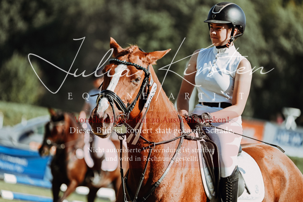 DSC_6981 | Pferde- und Turnierfotografie in Westsachsen. Pferdeportraits, Auftragszeichnungen und intuitive Kunst.