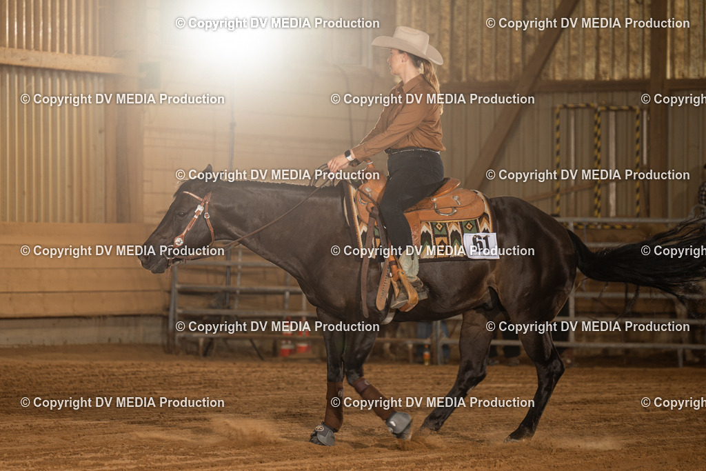 NID03799 | dv-media-shop - Realisiert mit Pictrs.com