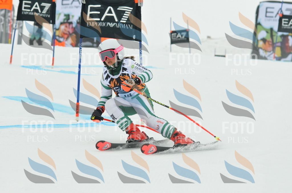 DSC_7422 | holidayphoto