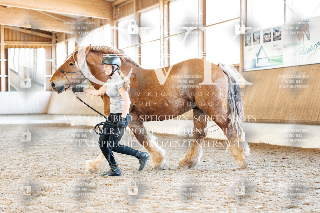 CK906418 | Turnierfotografie Pferdefotografie Trier Rheinland-Pfalz Pferdesport Reitsport Tierfotografie Sportfotografie Pferdevideo Pferdevideografie Equestrianvideography equestrianphotography  - Realisiert mit Pictrs.com
