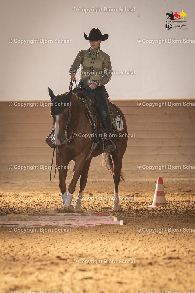 LMS06567 | BS-foto