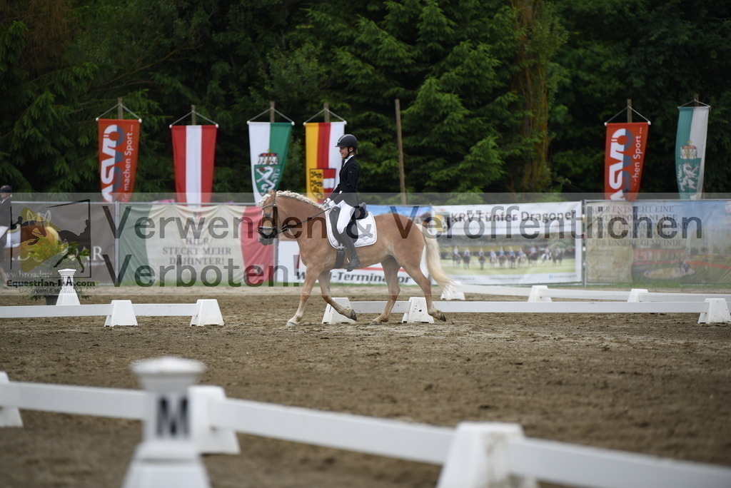 DSC_8115 | equestrian-live-com