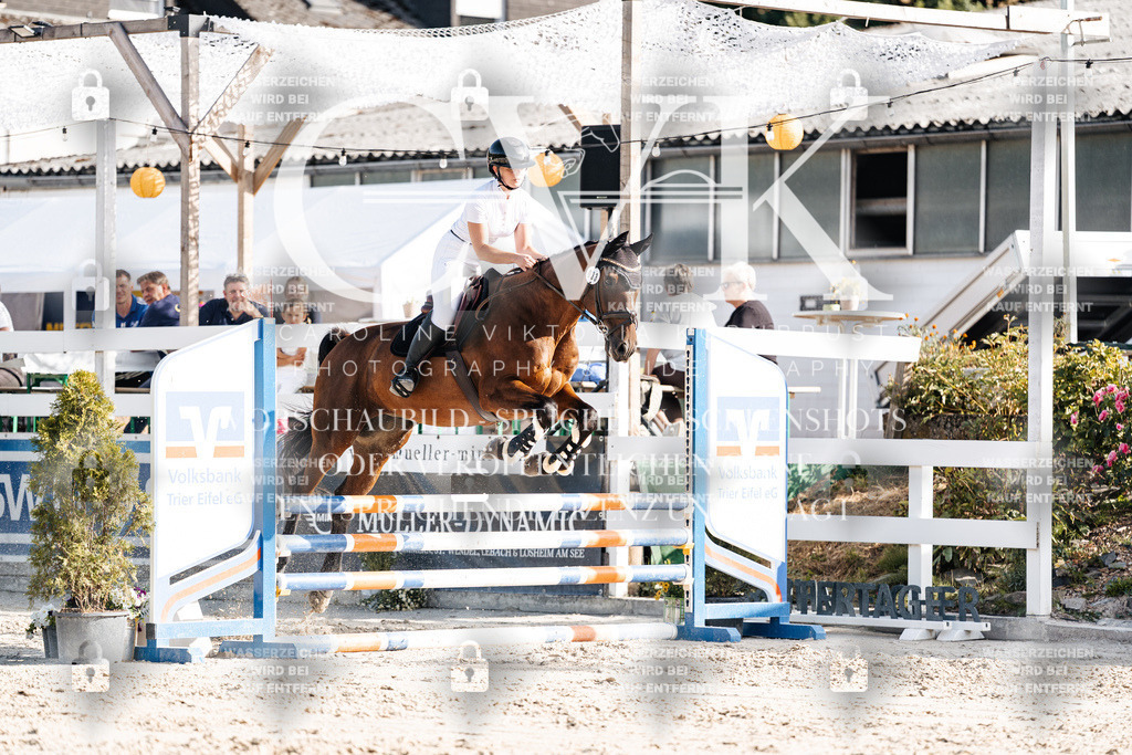 CK909465 | Turnierfotografie Pferdefotografie Trier Rheinland-Pfalz Pferdesport Reitsport Tierfotografie Sportfotografie Pferdevideo Pferdevideografie Equestrianvideography equestrianphotography  - Realisiert mit Pictrs.com