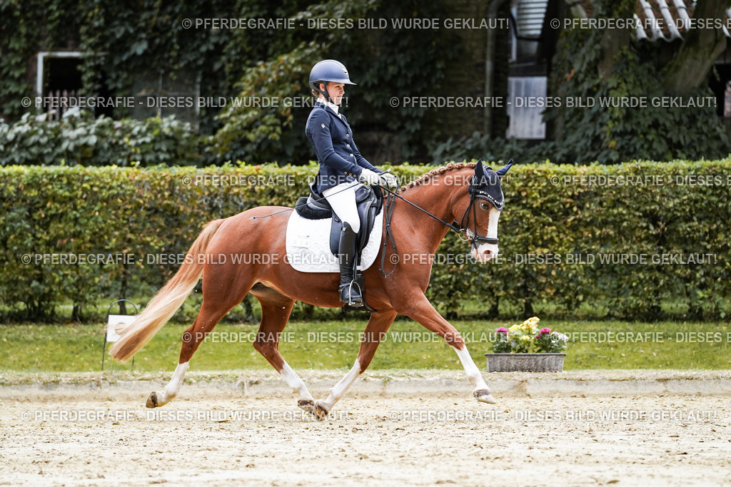 DSC07935 | Pferdegrafie