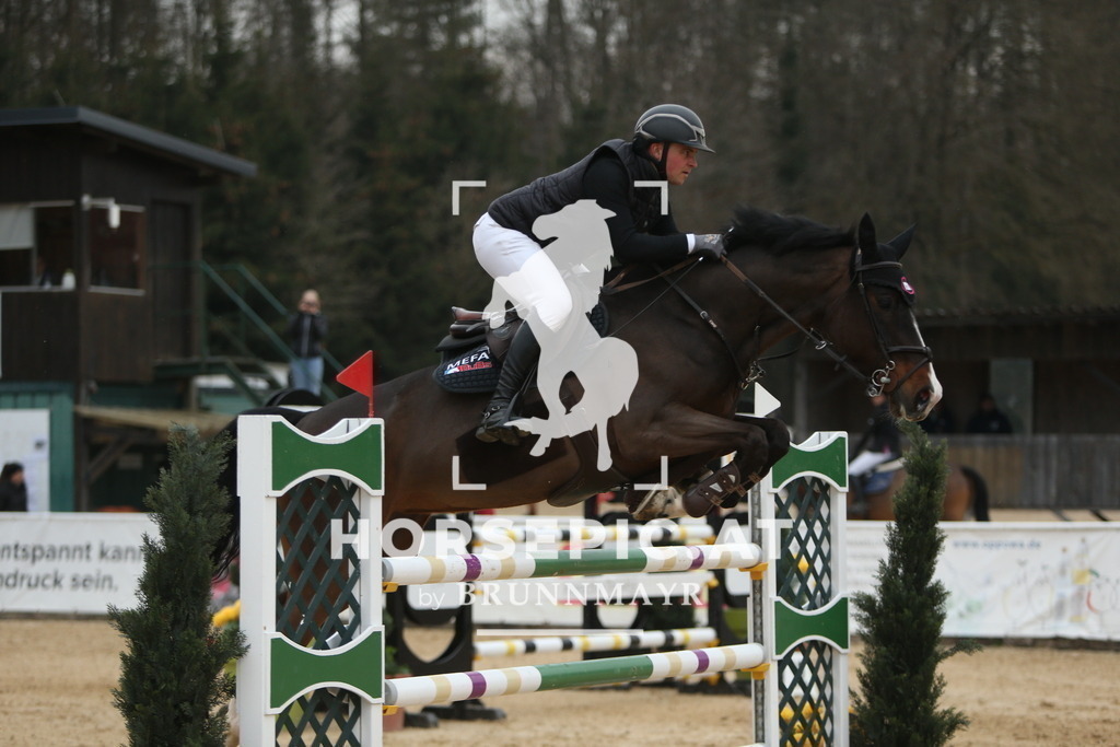 DL2Q3728 | Willkommen bei Brunnmayr - Design & Fotografie – Ihrem Spezialisten für Reitturniere und Pferdeveranstaltungen in Oberösterreich, Salzburg und Bayern! Seit über 17 Jahren sind wir leidenschaftlich dabei.