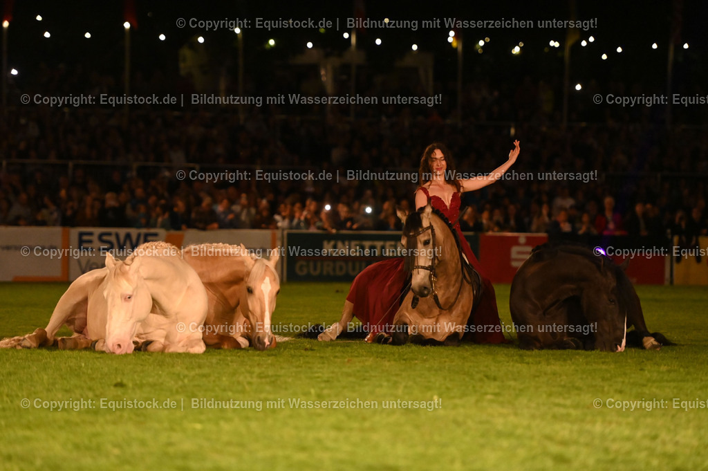 20230526_Pferdenacht_1534 | equistock