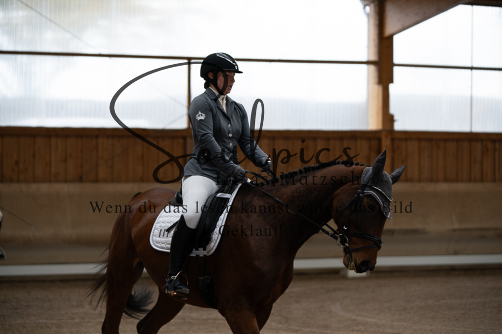 A7V02098 | Pferdefotograf