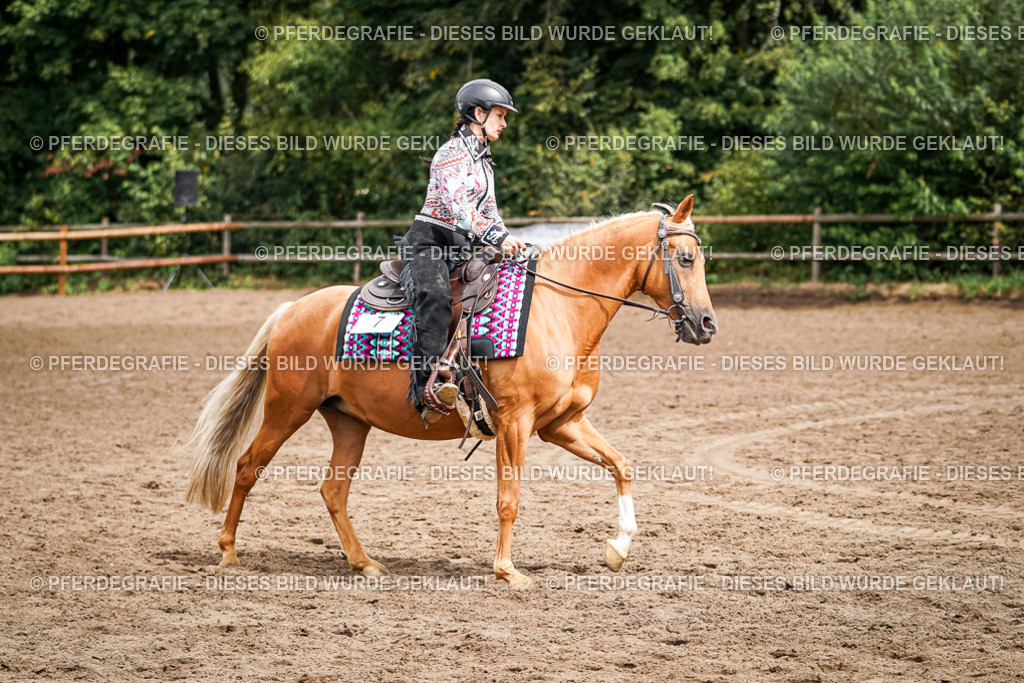 DSC04611 | Pferdegrafie