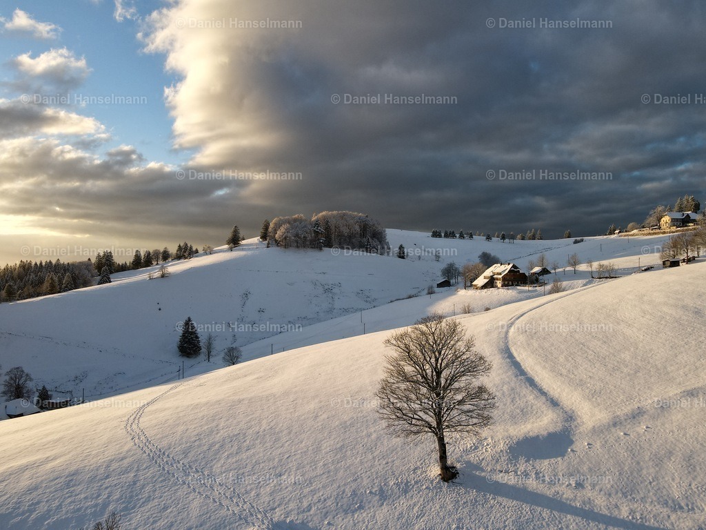 44F3B7B2-CA5A-4583-8159-EE1970E52B26 | default - Realisiert mit Pictrs.com