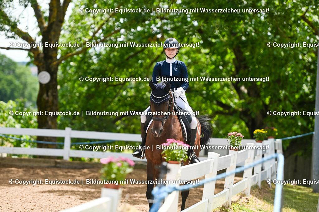 20230716_03_Dressurprfg. Kl.L - Tr._0273 | equistock
