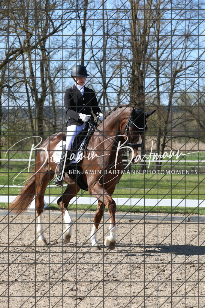 AZ2A6175 | Benjamin Bartmann Photomoments