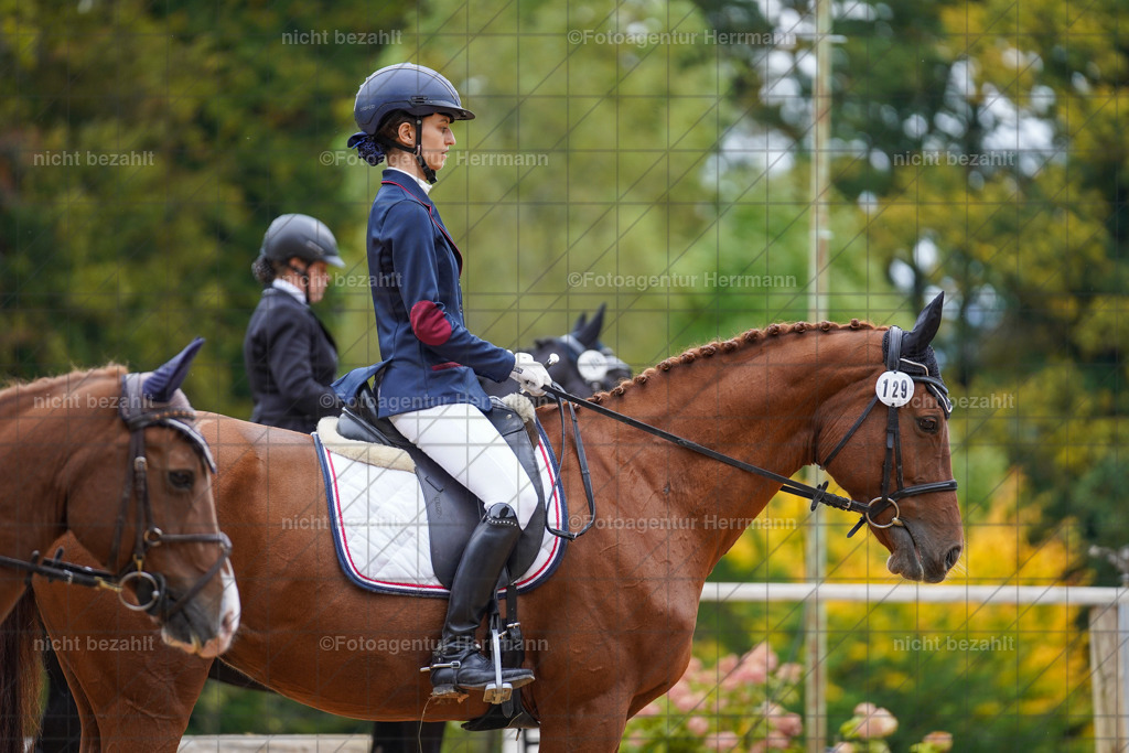 20221008-FAH01653 | Diessen am Ammersee, 2022, Dressur- und Springturnier, Reitsportbilder, Turnierfotografen Bayern, Pferdefotografen, Fotoagentur Herrmann, Turnierbilder