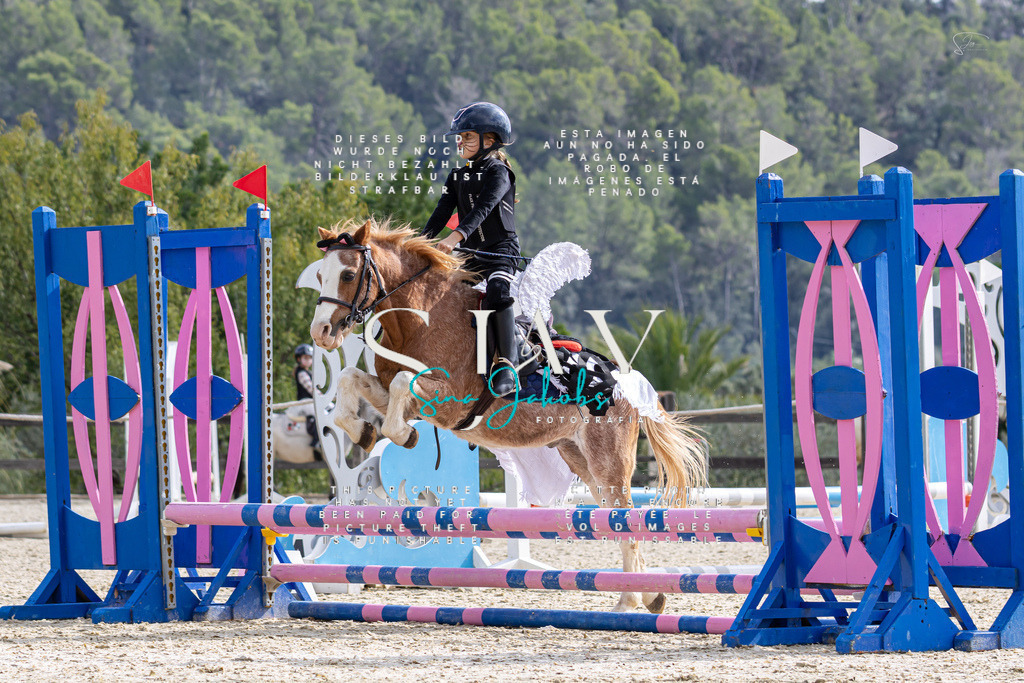 IMG_2142 | s-jay-photography - Realisiert mit Pictrs.com