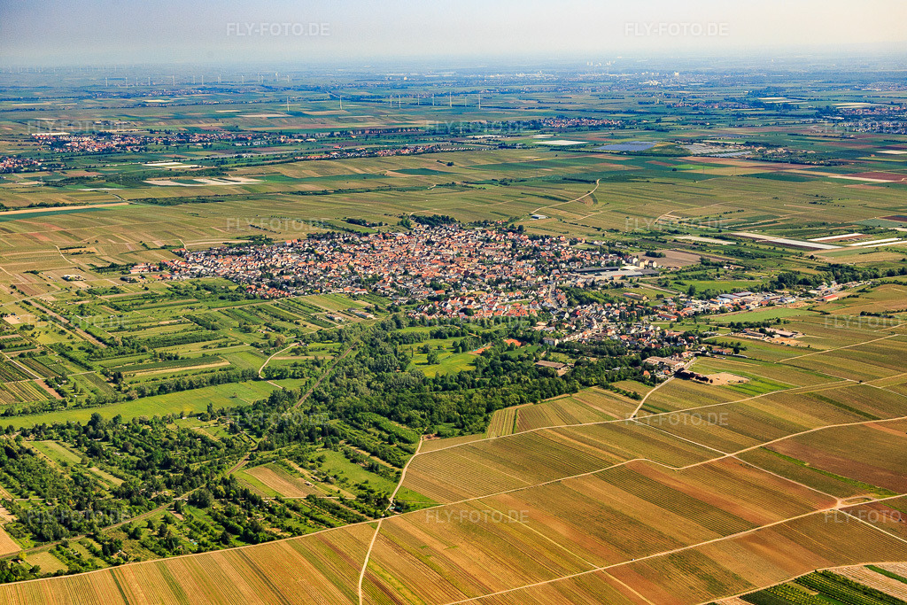 Luftbild: Ortsübersicht aus Südwesten in Weisenheim am Sand im Bundesland Rheinland-Pfalz in Deutschland. Foto: IMG_078758.jpg vom 13.05.2015 durch Werner Riehm/FLY-FOTO.de