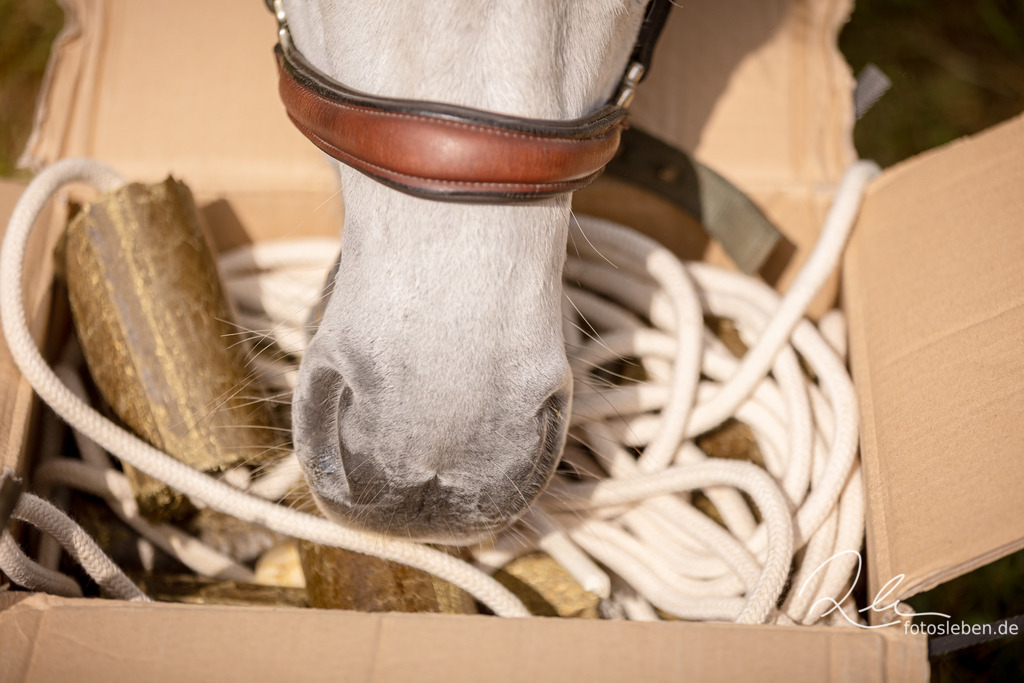 846A2769 | fotosleben - Realisiert mit Pictrs.com