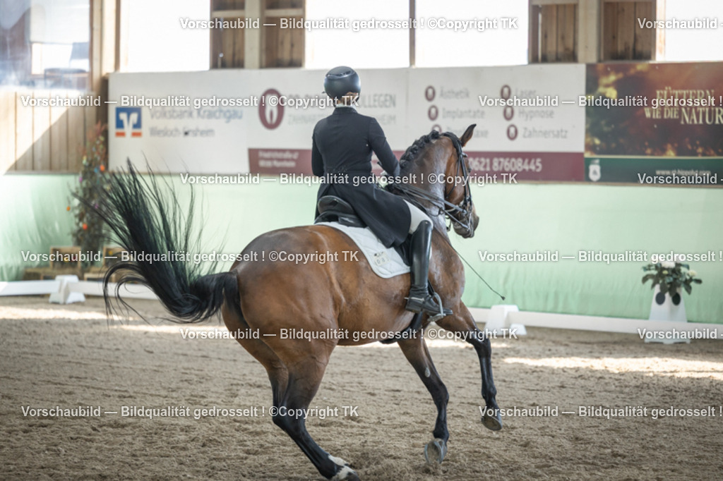 _D5A9950 | Emotionale Pferde- & People-Fotografie rund um Heidelberg, Leimen & Umgebung. Natürliche Fotos von Pferd, Mensch & Familie. Jetzt Termin sichern!