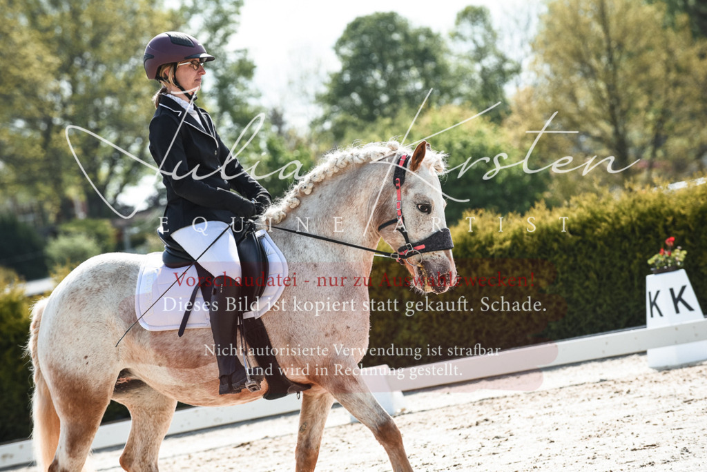 20230518_JK-Röhrsdorf-09-1568 | Pferde- und Turnierfotografie in Westsachsen. Pferdeportraits, Auftragszeichnungen und intuitive Kunst.