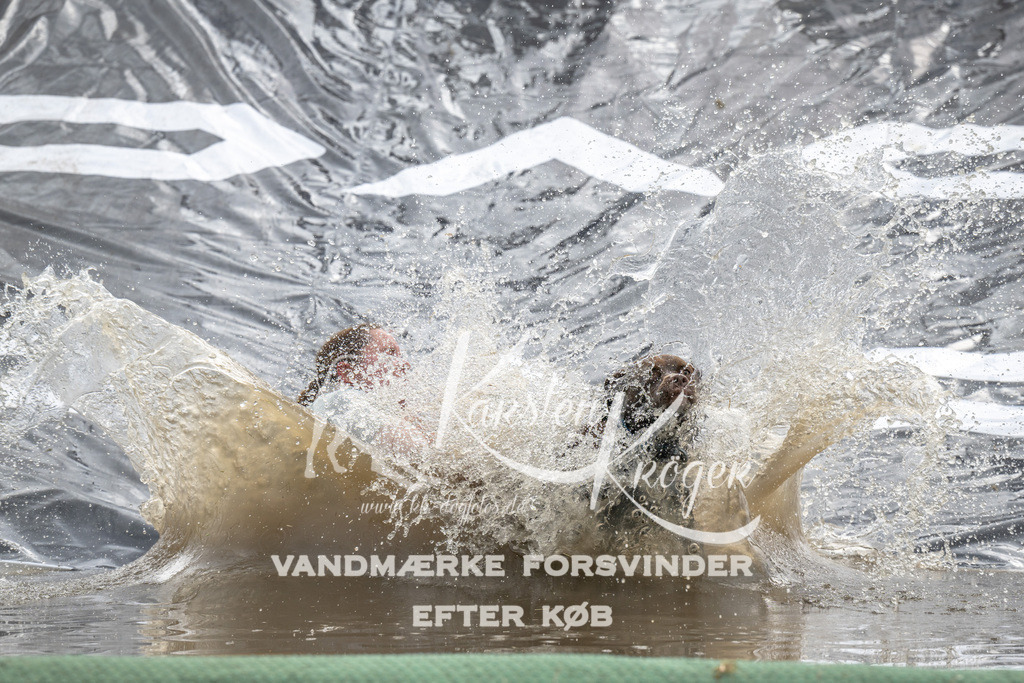 1419_ZZ90044 | kk-dogfotos