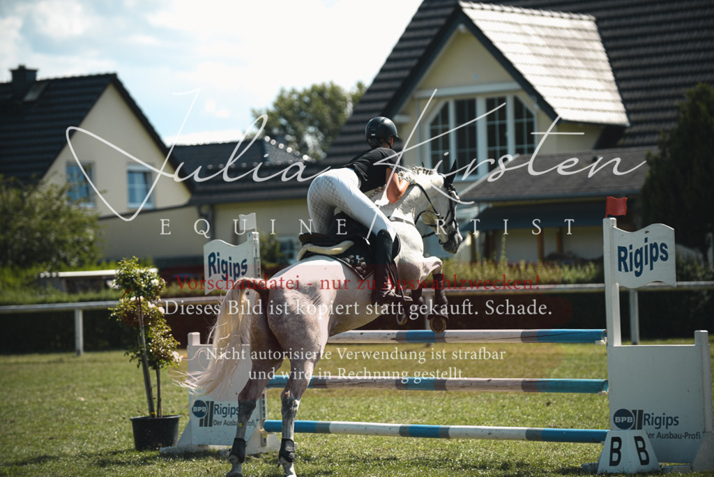 DSC_6889 | Pferde- und Turnierfotografie in Westsachsen. Pferdeportraits, Auftragszeichnungen und intuitive Kunst.