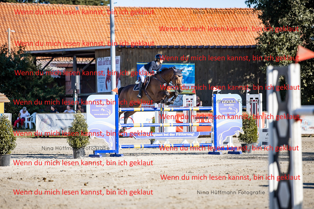 BK1A8202 | Turnierbilder Turnierfotos Nina Hüffmann Turnierfotografie Pferdefotografie Tierzeichnung Haustierzeichnung Pferdezeichnung Hundezeichnung Videograf  - Realisiert mit Pictrs.com