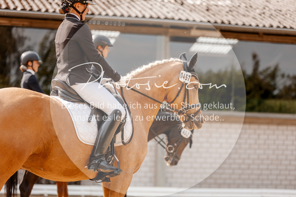 3I6A4354 | Stimmungsvolle Portraits und Reitsportfotografie im Ruhrgebiet und im Münsterland.

Pferdefotografie, Hundefotografie, Tierfotografie, Reportagen, Portraits von Tier und Mensch, Turnierfotografie in Bochum, Recklinghausen, Marl, Haltern am See, Dülmen.. - Realized with Pictrs.com